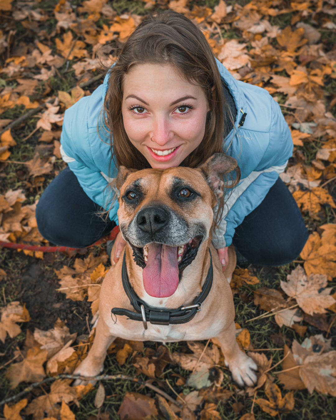 Educateur Comportemebtaliste canin Ozoir-La-Ferriere